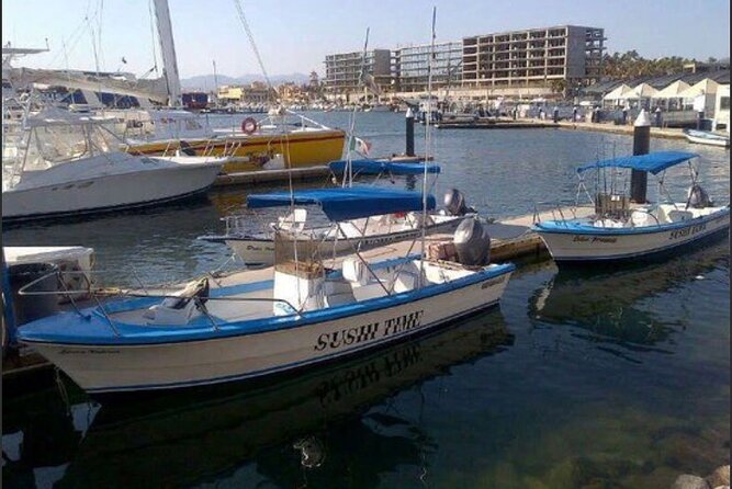 Private Half-Day Sport Fishing in Los Cabos - From Cabo marina to El Arco