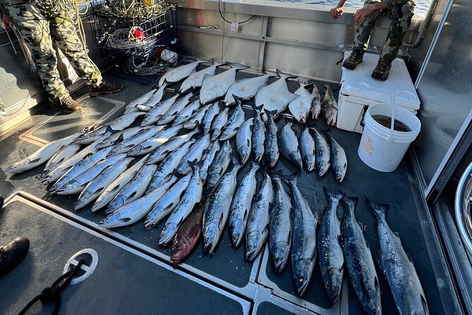 Private Ketchikan Halibut and Salmon Fishing Charter - The captains make the biggest difference