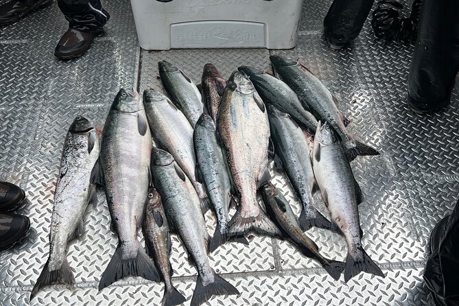 Private Ketchikan Wild Alaskan Salmon Fishing Trip - Meeting Captain Aaron at 425 Water Street