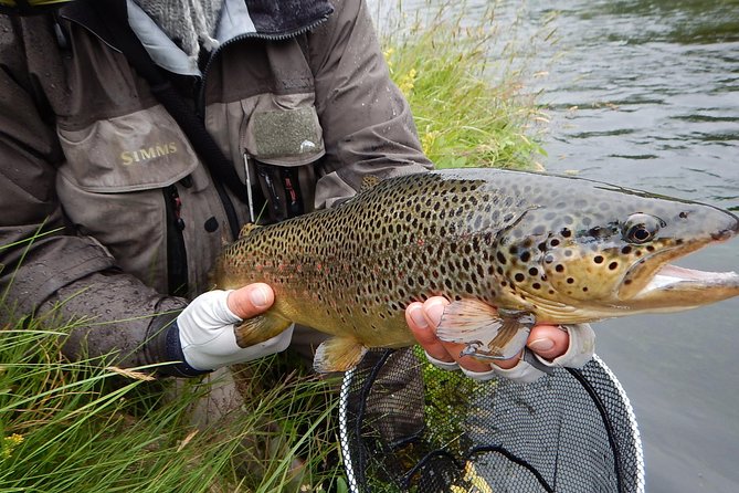 Private Lake and River Fishing Tour from Reykjavik - Patient instruction for first-time fly fishers