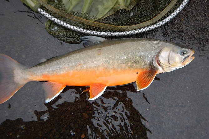 Private Lake and River Fishing Tour from Reykjavik - Why the private format changes the value