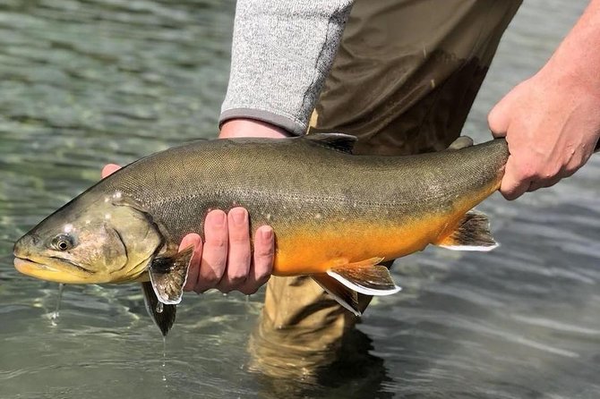 Private Lake and River Fishing Tour from Reykjavik - What you fish for, and why the season matters