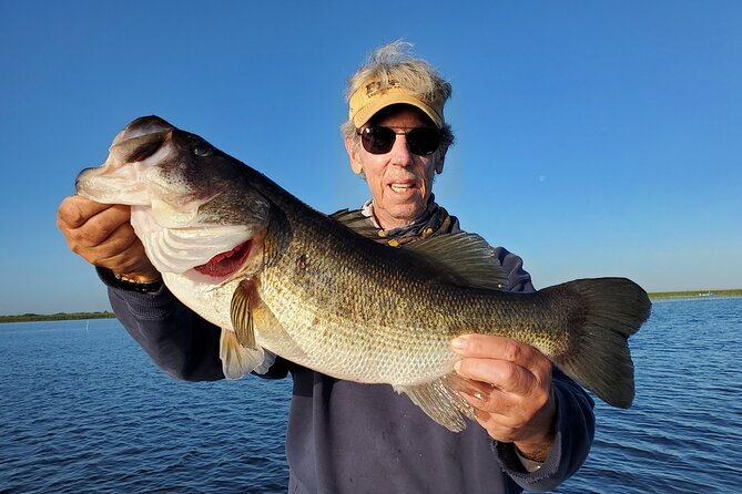 Private Lake Okeechobee Fishing Trip near Boca Raton FL - Wildlife between casts