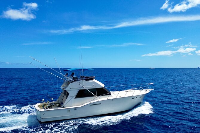 Private Luxury Sportfishing Experience Aboard Limitless - The best value at $1,399