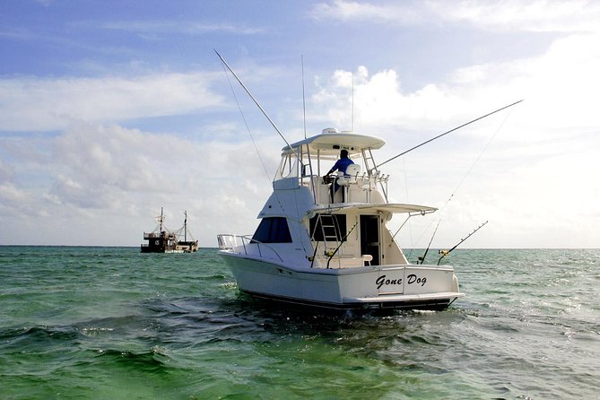 Private Punta Cana Six Hour Fishing Charter - What you may catch offshore