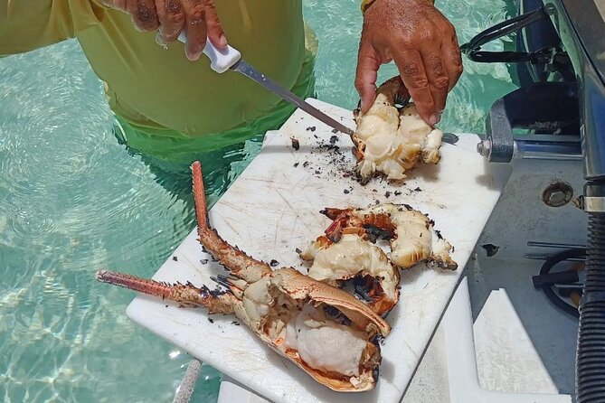 Private Snorkeling And Fishing Activity - What is included, and what you should bring