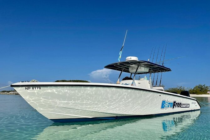 Private Speed Boat for Snorkeling or Fishing in Nassau - 34ft - Key points to know