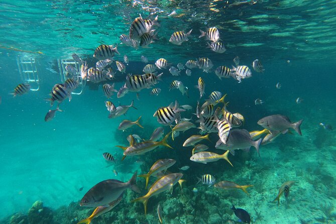 Private Speed Boat for Snorkeling or Fishing in Nassau - 34ft - Leaving from Hurricane Hole Marina