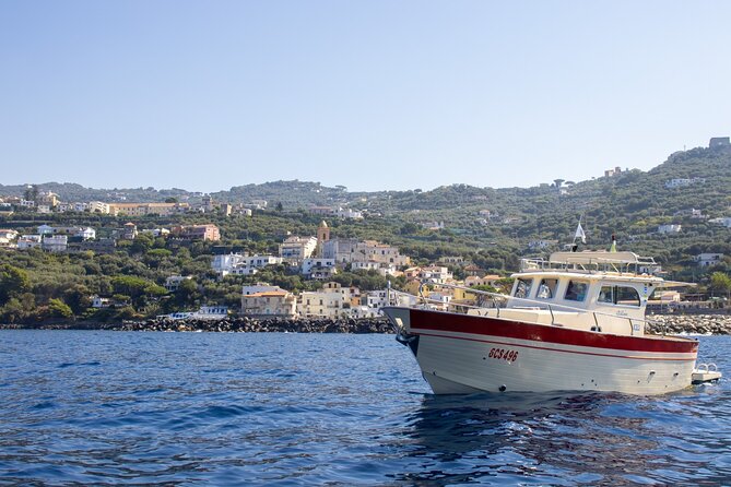 Private tour with fishing, tour of Capri and lunch on board - Is $1,385.50 a fair price?