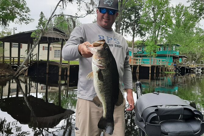 Private Trophy Bass Harris Chain of Lakes Fishing Charter - Key points to know before booking