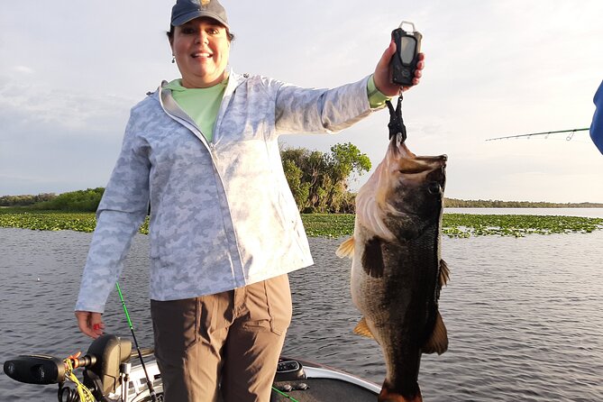 Private Trophy Bass Harris Chain of Lakes Fishing Charter - What the private format is worth