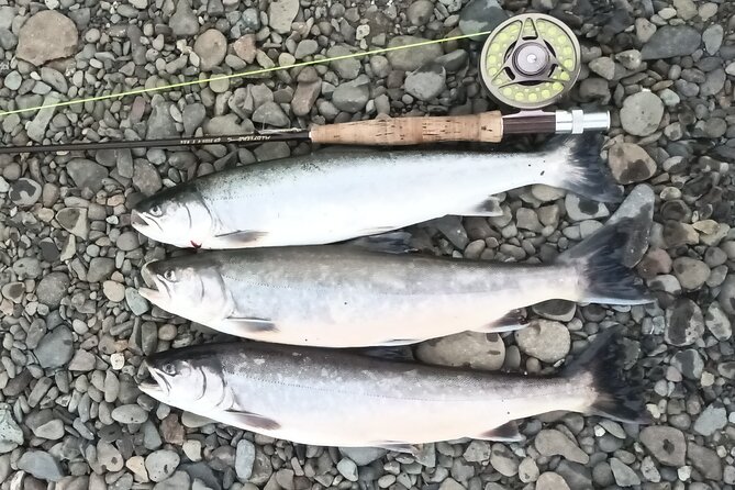 Private Trout and Char Fishing in Icelandic Serenity Experience - Lunch beside a full day on the water