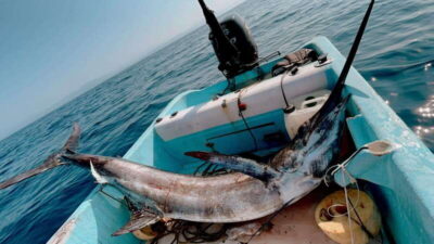 Puerto: Fishing Experience Marlin, Sailfish, Tuna or Dorado