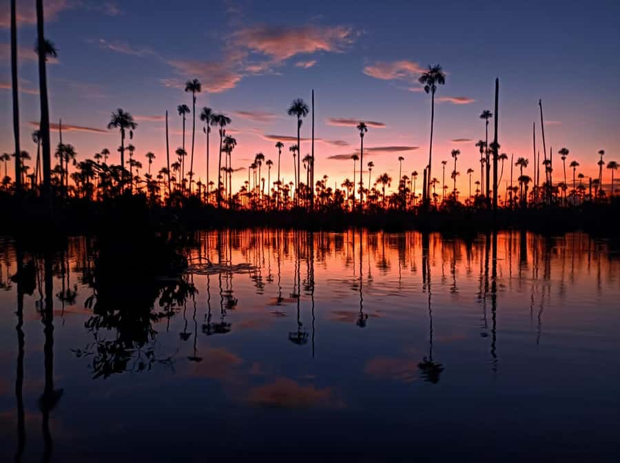 Puerto Maldonado: Lake Yacumama sunset and piranha fishing - Sunset, macaws, and the best time on the water