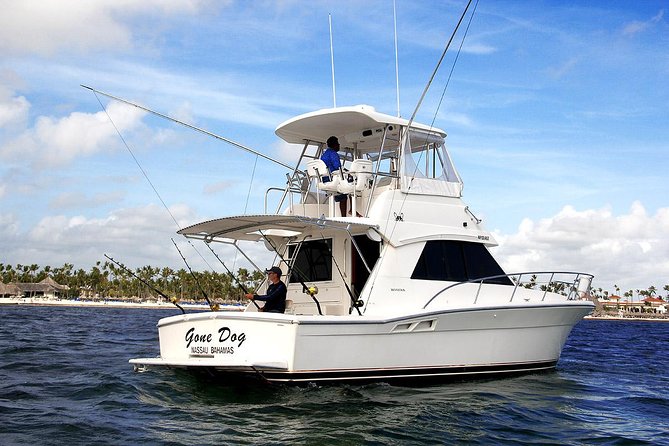 Punta Cana Offshore Deep Sea Fishing Charter - The fishing: big targets, real uncertainty