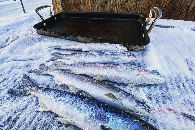 Quick and Easy Ice Fishing at Chena Lake - A friendly guide can shape the whole outing