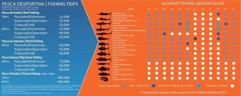Reef Fishing in Vilamoura - What the three-hour Vilamoura fishing trip is really like