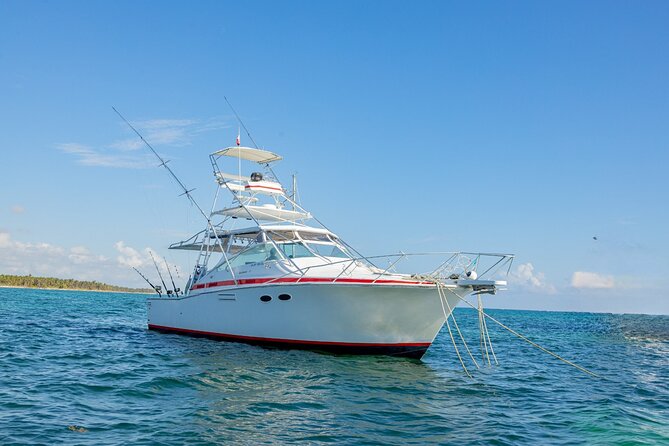 Reel Adventures: A Fin-tastic Fishing Tour - Key points at a glance