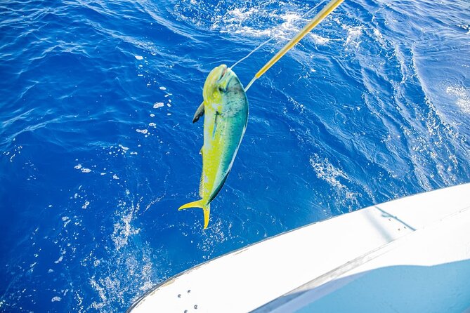 Reel Adventures: A Fin-tastic Fishing Tour - Gear, drinks, and what you need to bring