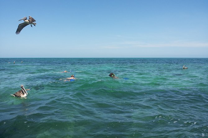 Relaxing private boat tour to Cabo Catoche with fishing - A beach walk, photographs, and the mangrove route