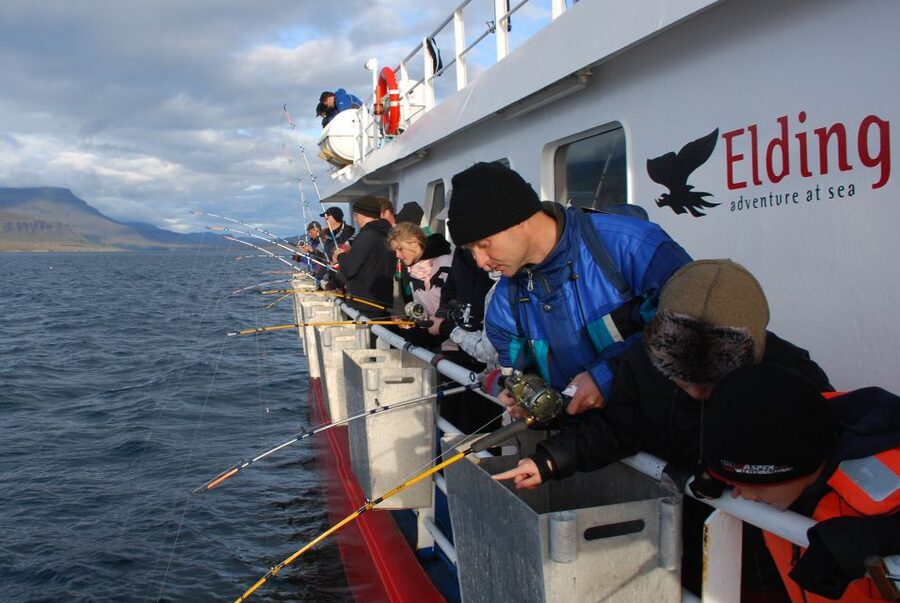 Reykjavik: 3-Hour Sea Angling Gourmet Experience Tour - How crowded will the boat feel?