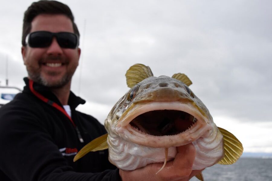 Reykjavik: 3-Hour Sea Angling Gourmet Experience Tour - Is $176 a fair price?