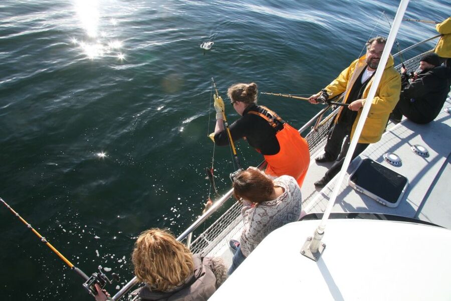 Reykjavik: 3-Hour Sea Angling Gourmet Experience Tour - Who will enjoy this most?
