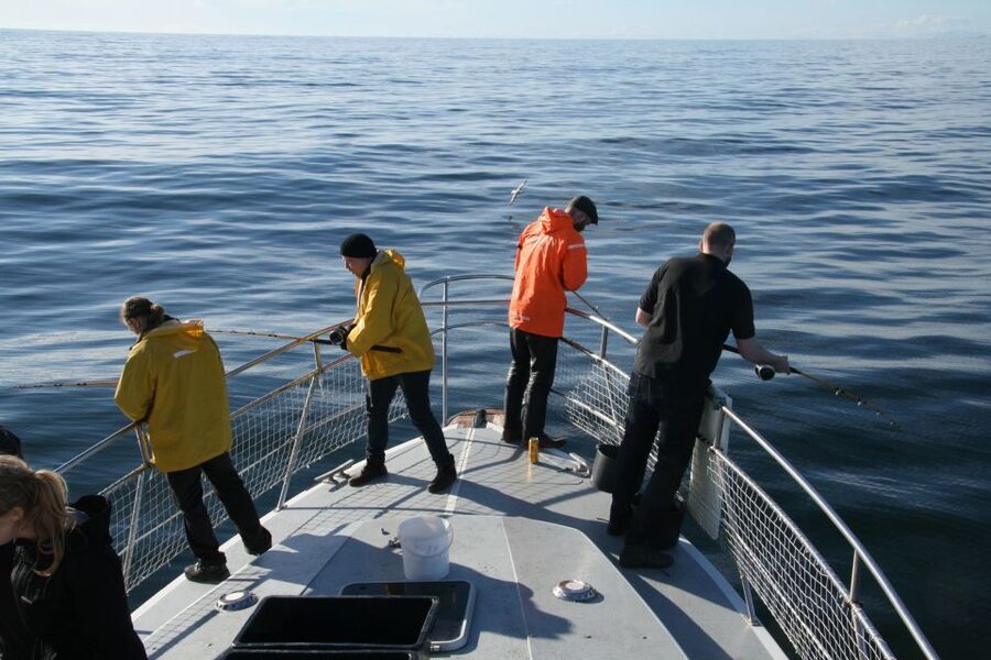 Reykjavik: 3-Hour Sea Angling Gourmet Experience Tour - Getting set up aboard the Jóhanna