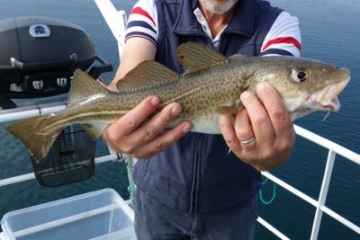 Reykjavik’s Finest Catch: Guided Sea Angling Tour for All Levels