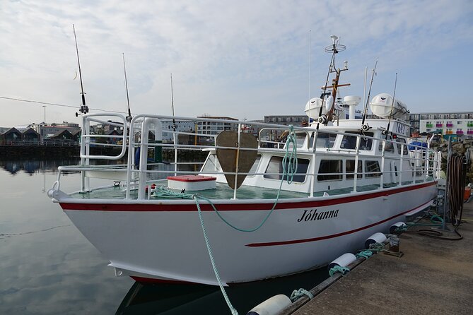Reykjavik's Finest Catch: Guided Sea Angling Tour for All Levels - The season and weather matter