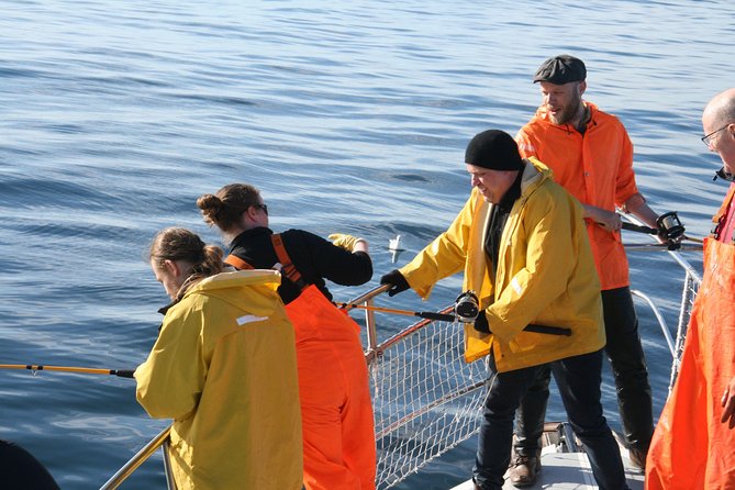 Reykjavik Sea Angling Gourmet - From catch to BBQ before the harbor