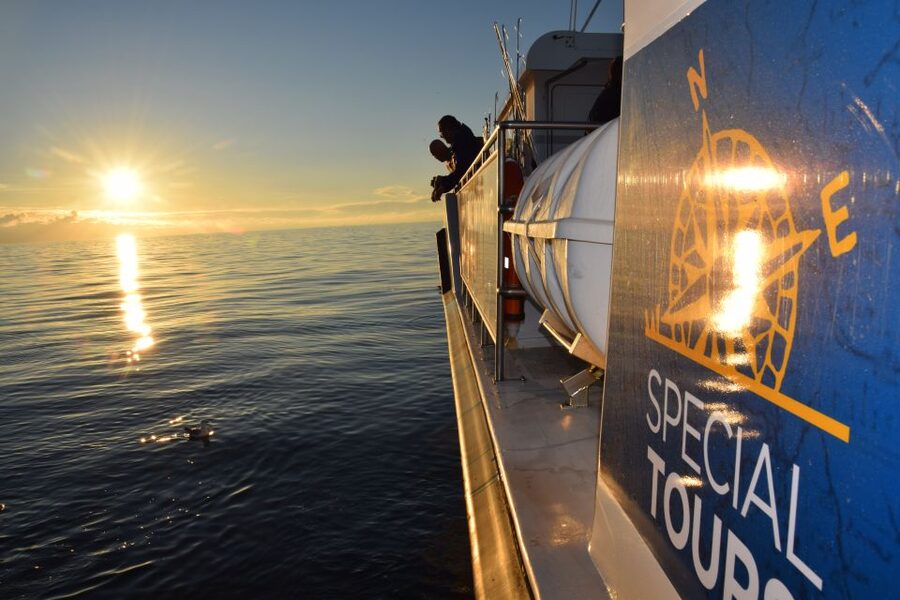 Reykjavik: Sea Fishing Boat Tour & BBQ with the Day's Catch - From Reykjavík’s Old Harbor to Faxaflói Bay