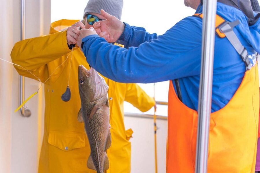 Reykjavik: Sea Fishing Boat Tour & BBQ with the Day's Catch - Cod, haddock, pollock, and the possible big catch