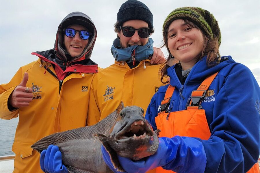 Reykjavik: Sea Fishing Boat Tour & BBQ with the Day's Catch - Puffin Island and the wildlife bonus