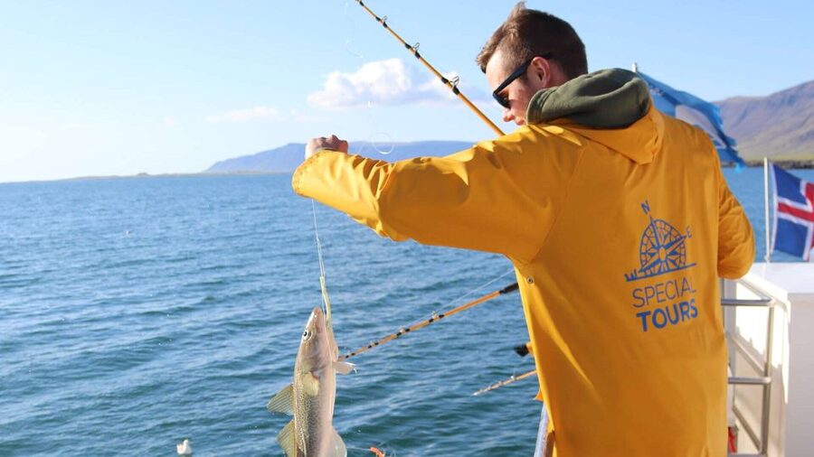 Reykjavik: Sea Fishing Boat Tour & BBQ with the Day's Catch - Weather, seasickness, and what to wear