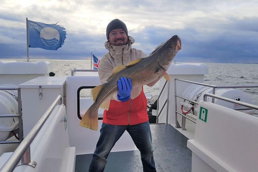 Reykjavik: Sea Fishing Boat Tour & BBQ with the Day's Catch - What the 2.5-hour schedule feels like