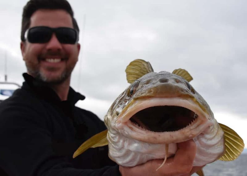 Reykjavik: Traditional Sea Fishing with BBQ Feast - Is $176 a fair price?