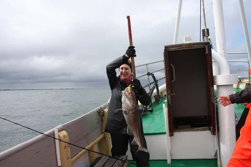 Reykjavik: Traditional Sea Fishing with BBQ Feast - Practical details for a smoother outing