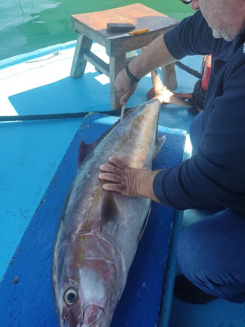 Rhodes Town: Fishing Boat Trip with Fish Meal and Swim Stops - Learning to fish with Angelo