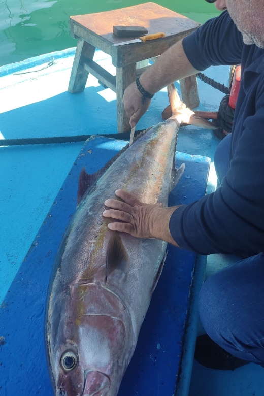 Rhodes Town: Fishing Boat Trip with Fish Meal and Swim Stops - Who will get the most from this trip