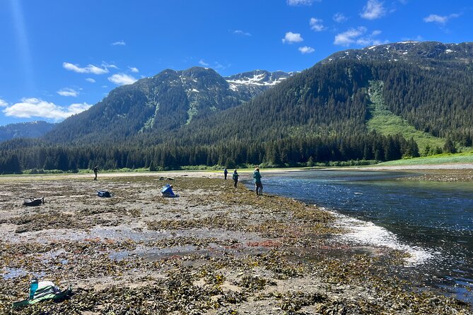 River Fishing and Bear Watching - Should you book River Fishing and Bear Watching?