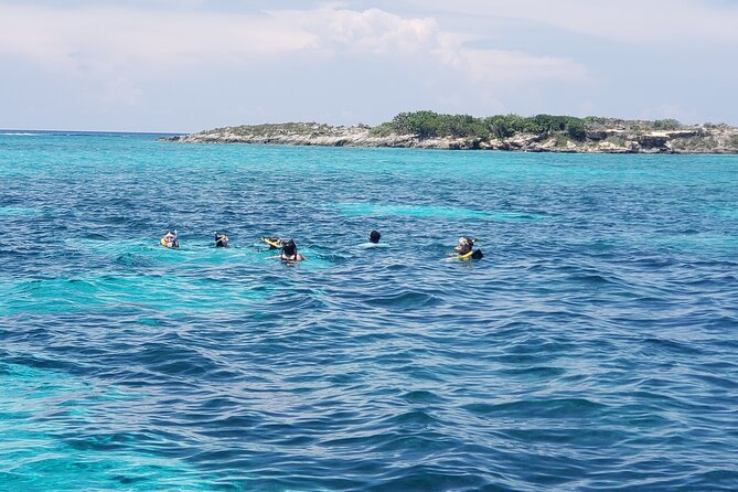 Rose Island: Private Snorkeling, Fishing, and Swimming with Pigs - Rose Island beach time
