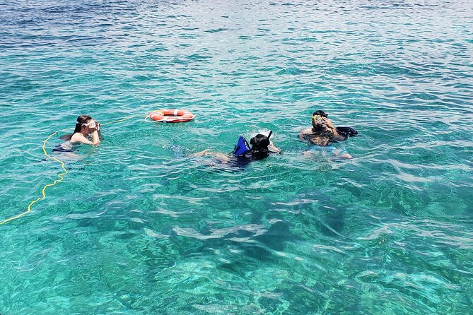 Rose Island: Private Snorkeling, Fishing, and Swimming with Pigs - Swimming with pigs and the extra $35 charge
