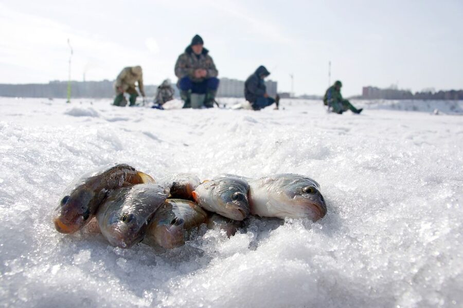 Rovaniemi: Arctic Circle Ice Fishing Experience - Is $104 a fair price?