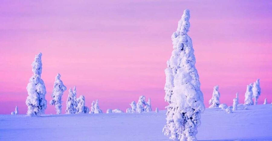 Rovaniemi: Half-Day Snowmobile & Ice Fishing Experience - Salmon, bread, and blueberry juice by the fire