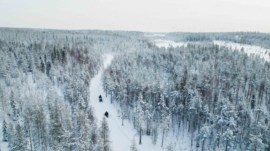 Rovaniemi: Ice Fishing & Snowmobile Safari Combo Day - Taking the controls on a 20-kilometer safari