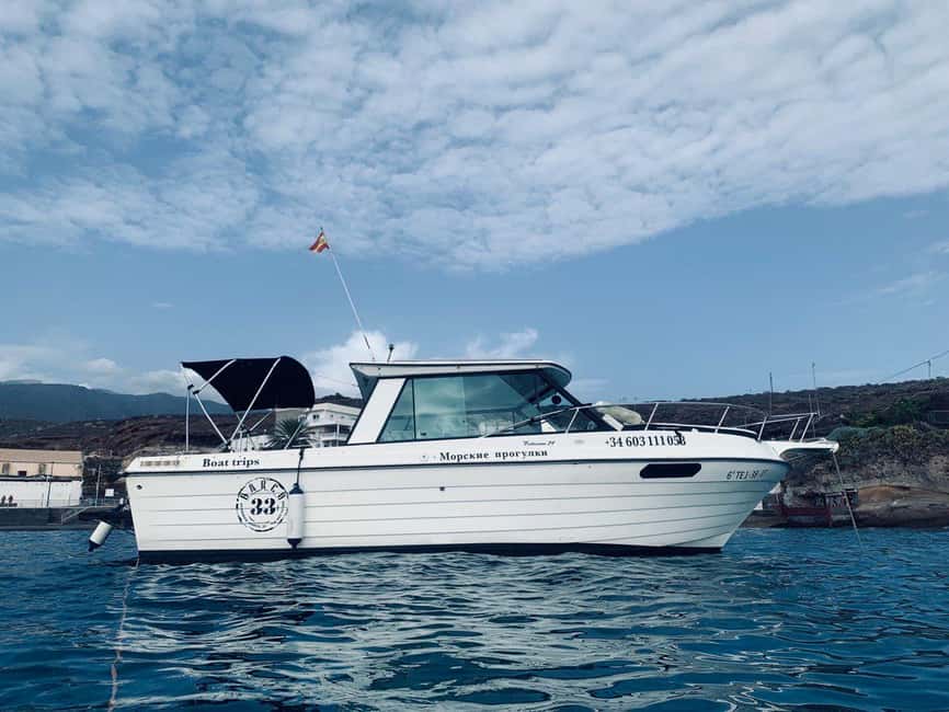 Santa Cruz de Tenerife: Private Family Fishing Tour - A lagoon stop for swimmers and non-anglers