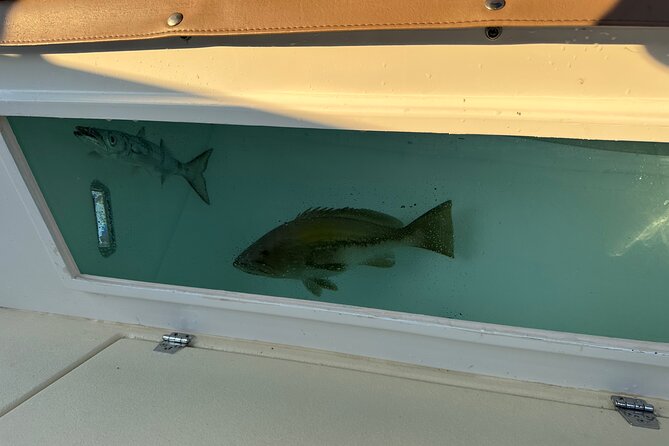 Santorini Fishing Private Cruise boat tour - BBQ, Snorkeling - Stories, geology, and the human side of Santorini