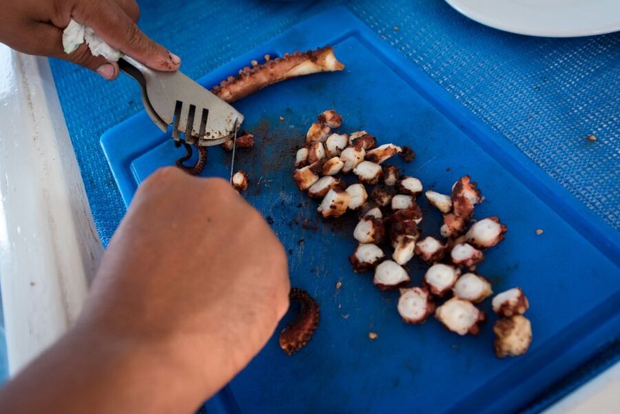 Santorini: Traditional Fishing Trip and Fresh Fish Lunch - Why this fishing trip feels different from a standard boat cruise