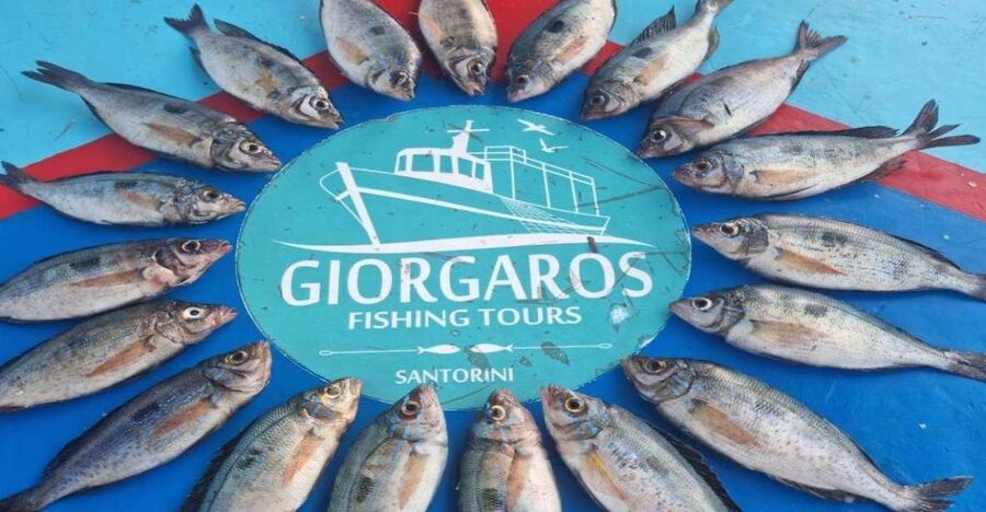 Santorini: Traditional Fishing Trip and Fresh Fish Lunch - Hotel pickup makes the morning easier